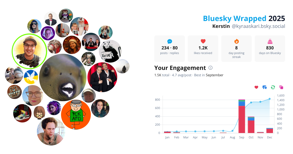 Your Bluesky Wrapped 2025 preview
