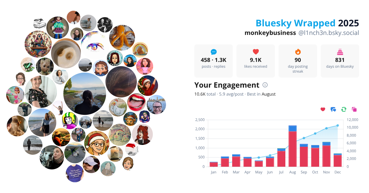 Your Bluesky Wrapped 2025 preview