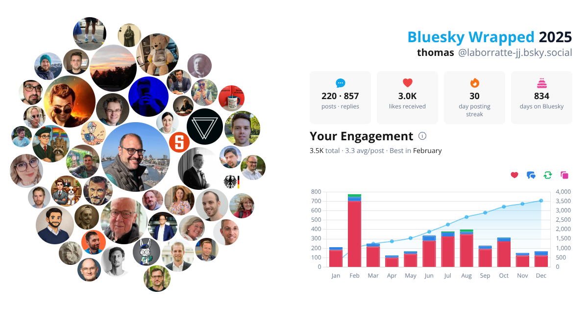Your Bluesky Wrapped 2025 preview