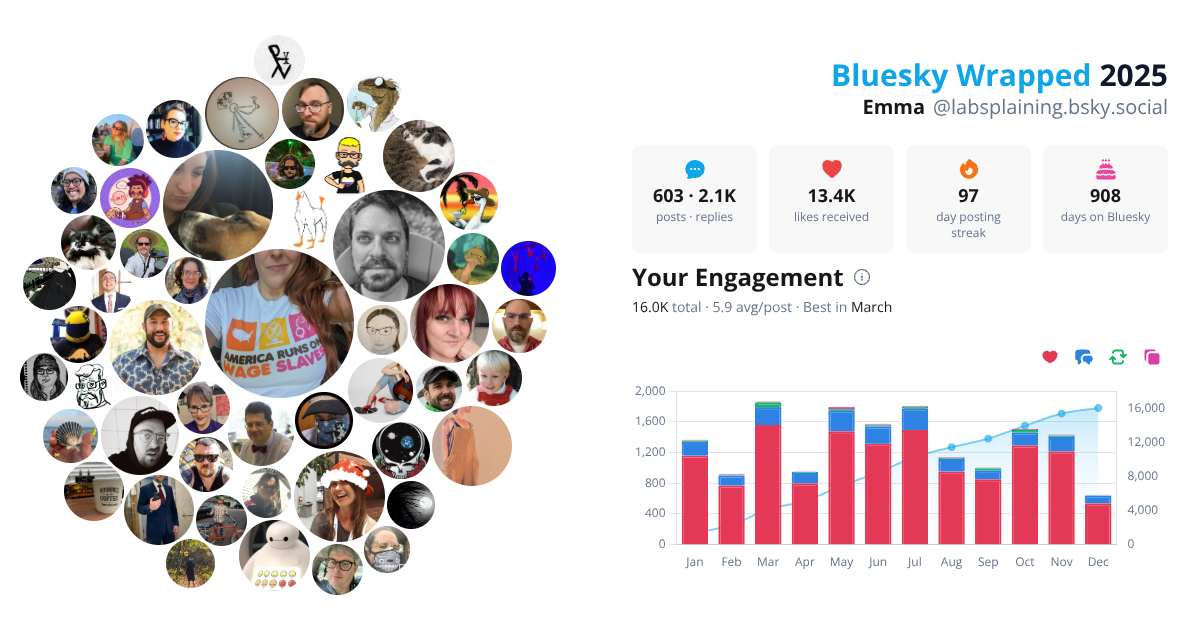 Your Bluesky Wrapped 2025 preview