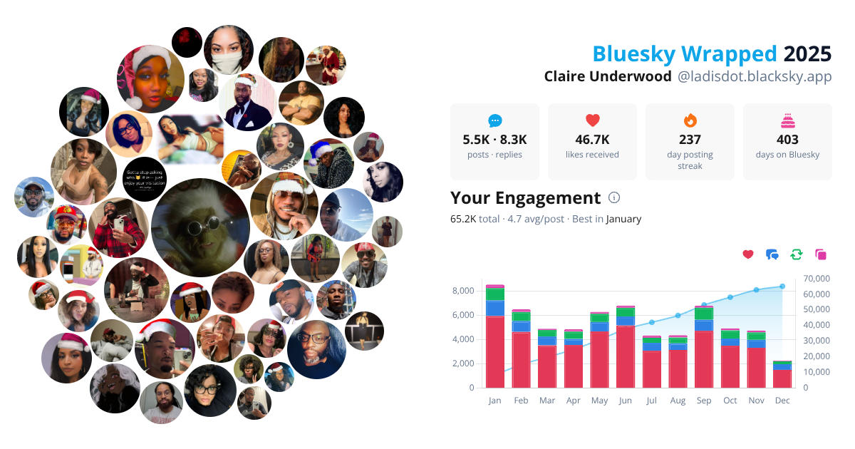 Your Bluesky Wrapped 2025 preview