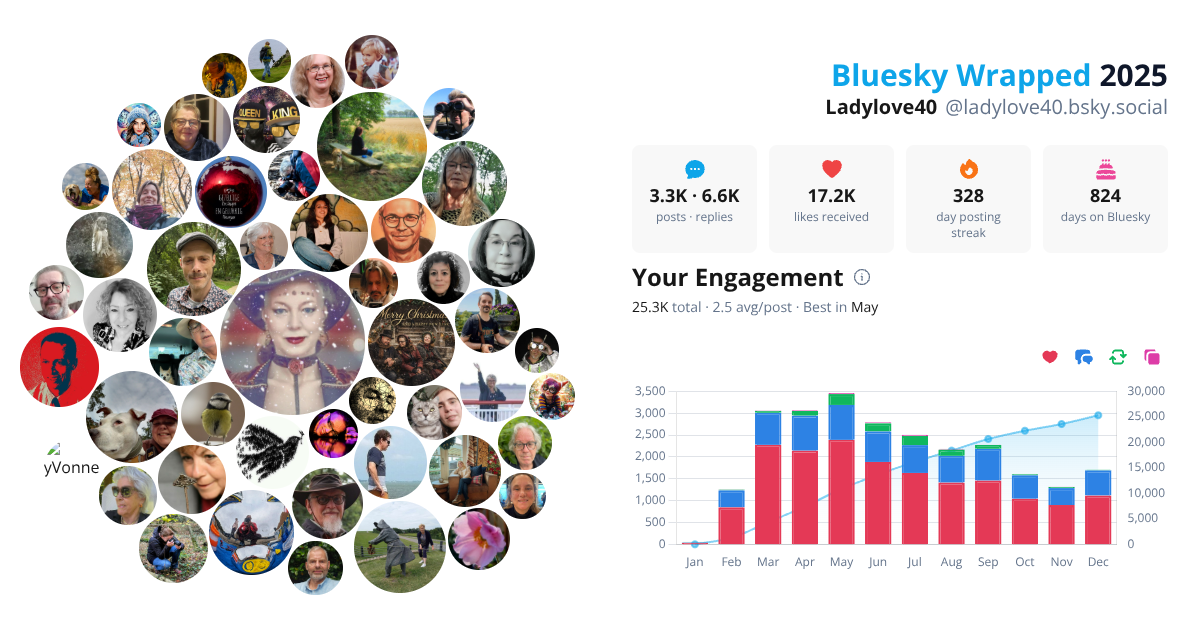 Your Bluesky Wrapped 2025 preview