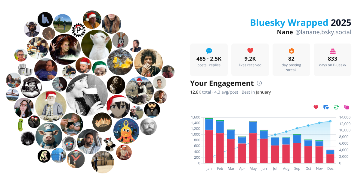 Your Bluesky Wrapped 2025 preview