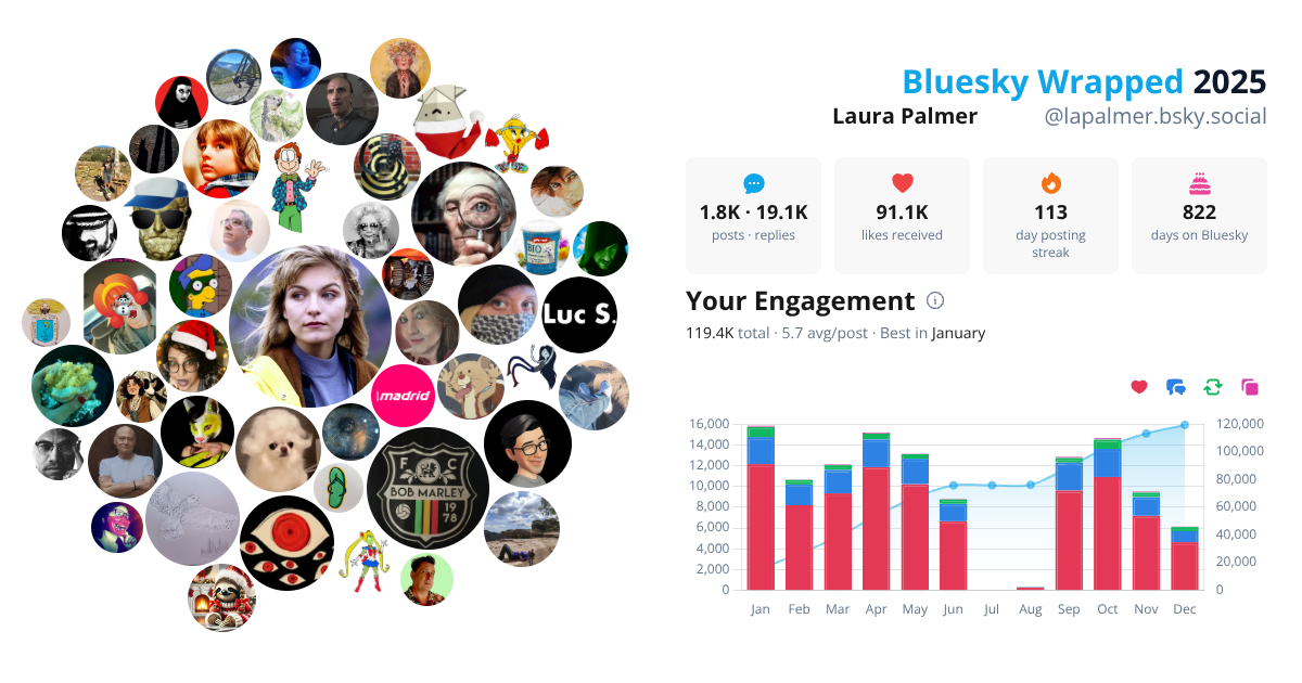 Your Bluesky Wrapped 2025 preview