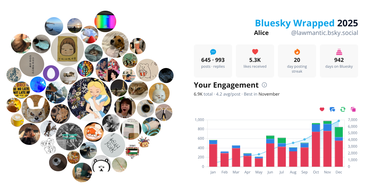 Your Bluesky Wrapped 2025 preview