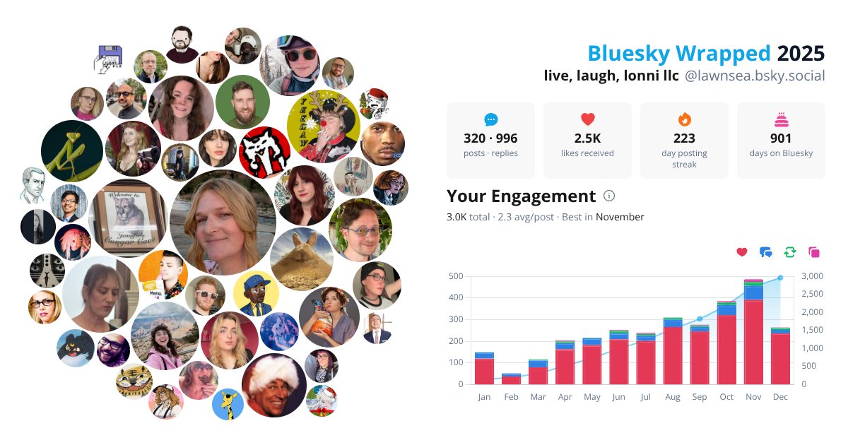 Your Bluesky Wrapped 2025 preview