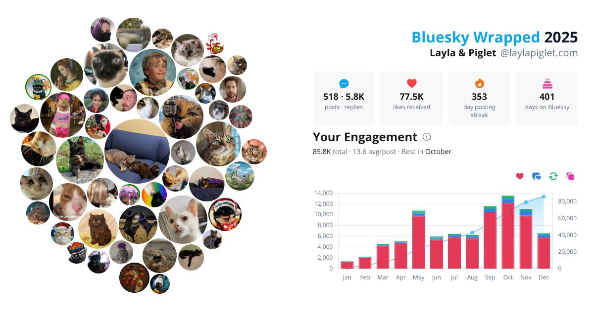 Your Bluesky Wrapped 2025 preview