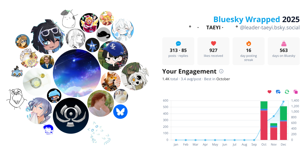 Your Bluesky Wrapped 2025 preview