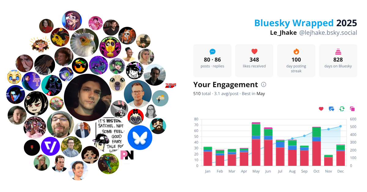 Your Bluesky Wrapped 2025 preview