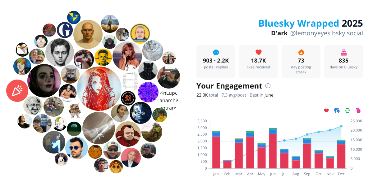 Your Bluesky Wrapped 2025 preview