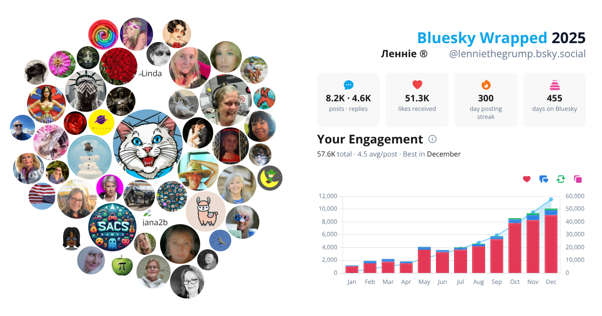 Your Bluesky Wrapped 2025 preview