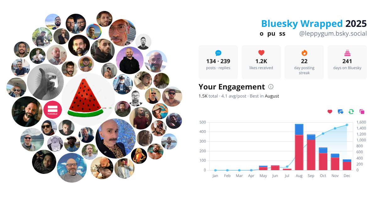Your Bluesky Wrapped 2025 preview