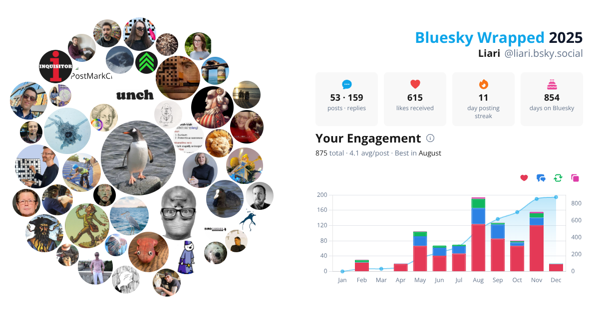 Your Bluesky Wrapped 2025 preview