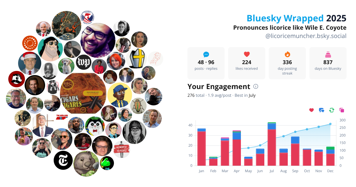 Your Bluesky Wrapped 2025 preview