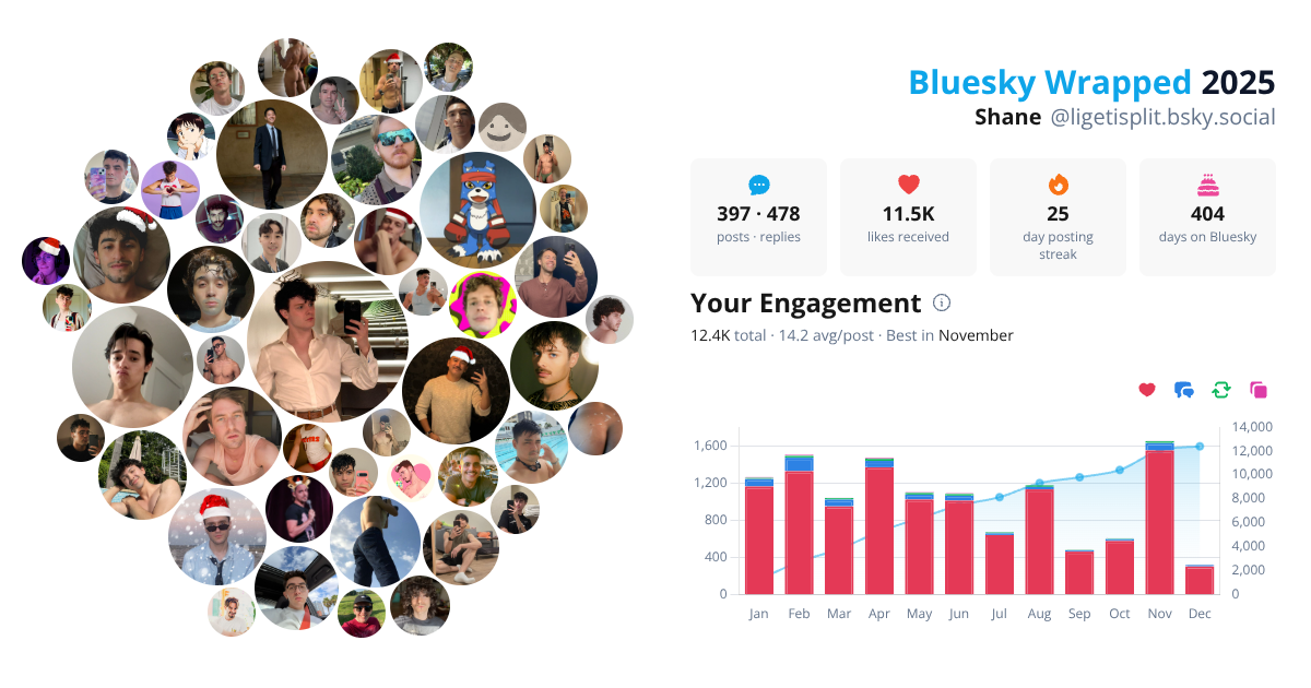 Your Bluesky Wrapped 2025 preview