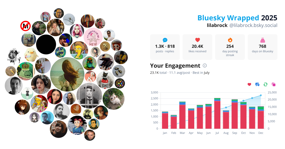 Your Bluesky Wrapped 2025 preview