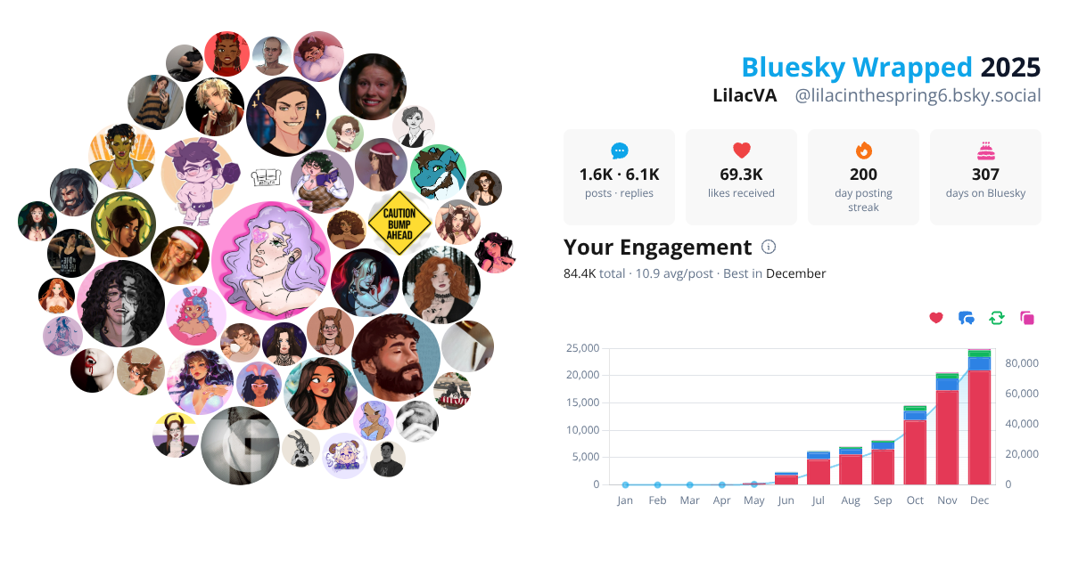 Your Bluesky Wrapped 2025 preview