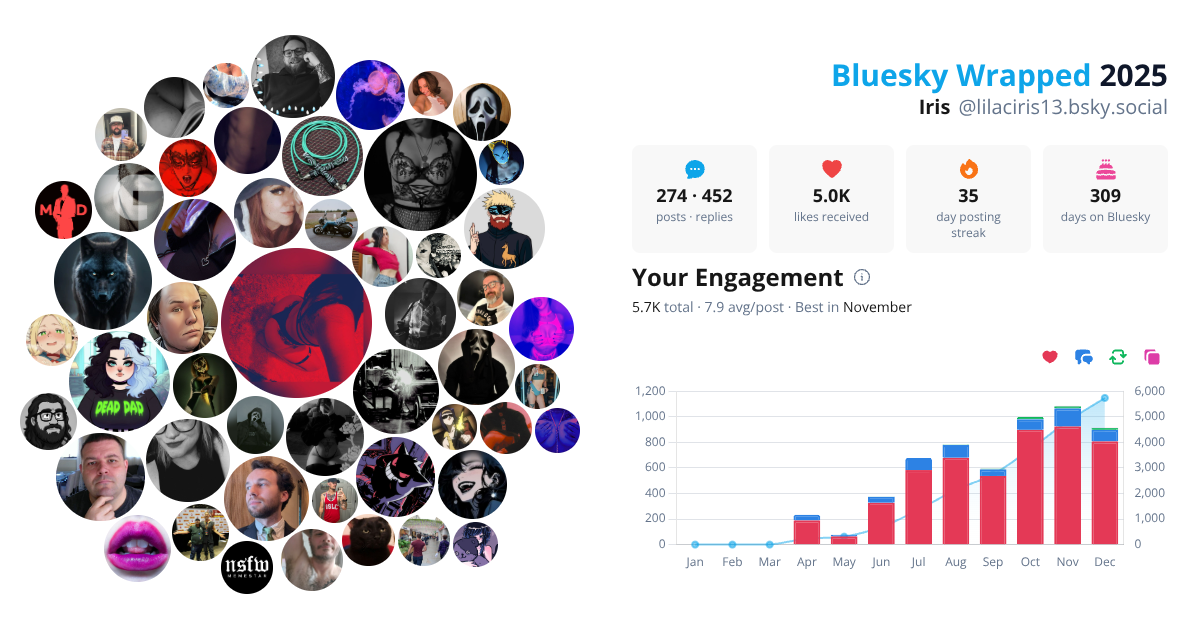 Your Bluesky Wrapped 2025 preview