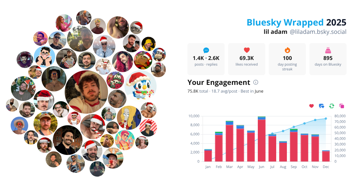 Your Bluesky Wrapped 2025 preview