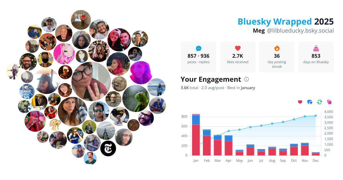 Your Bluesky Wrapped 2025 preview
