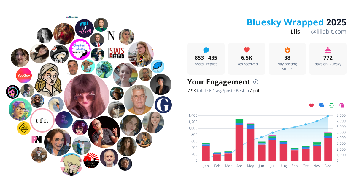 Your Bluesky Wrapped 2025 preview