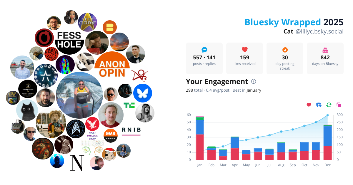 Your Bluesky Wrapped 2025 preview