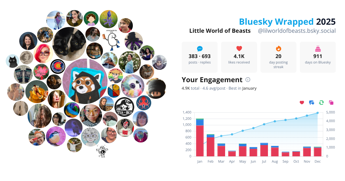 Your Bluesky Wrapped 2025 preview