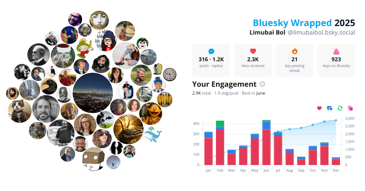 Your Bluesky Wrapped 2025 preview
