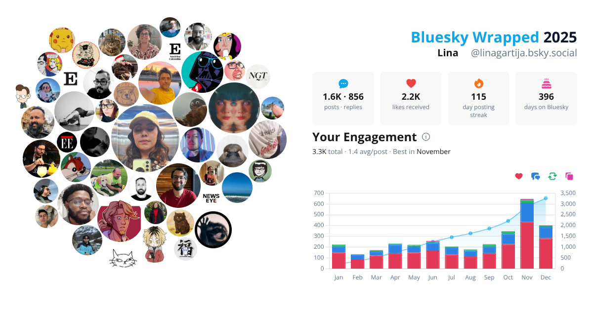 Your Bluesky Wrapped 2025 preview