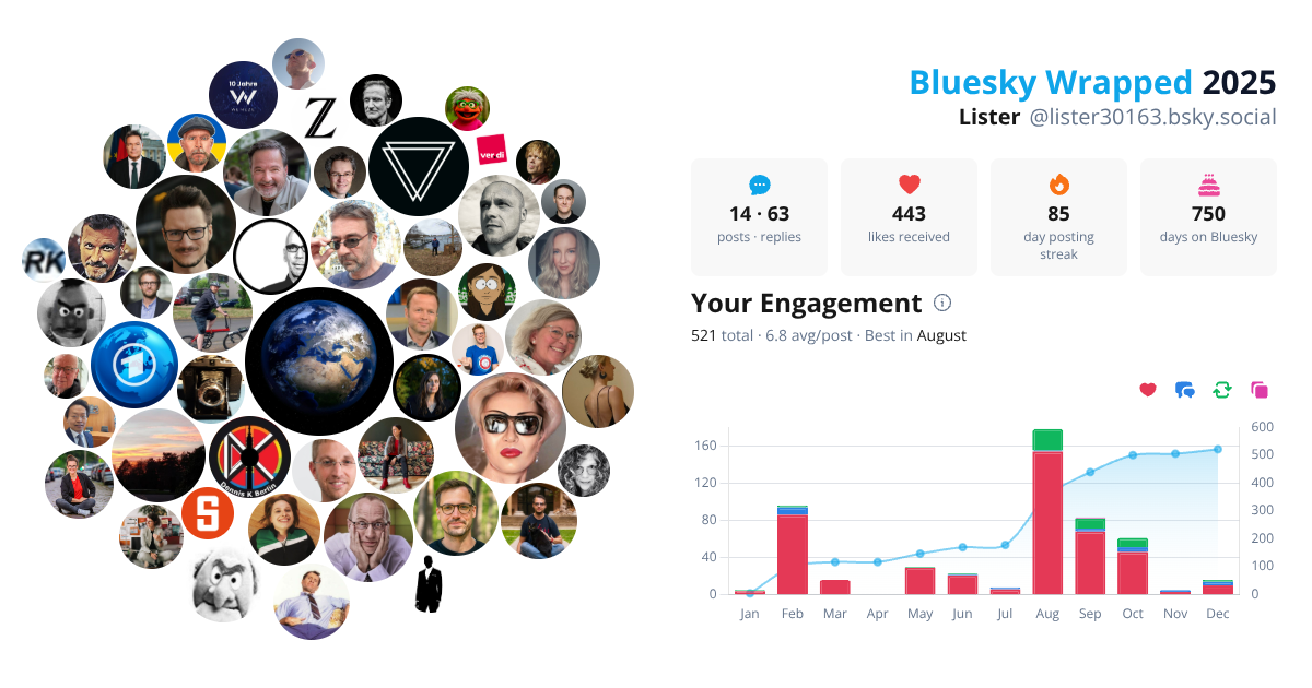 Your Bluesky Wrapped 2025 preview