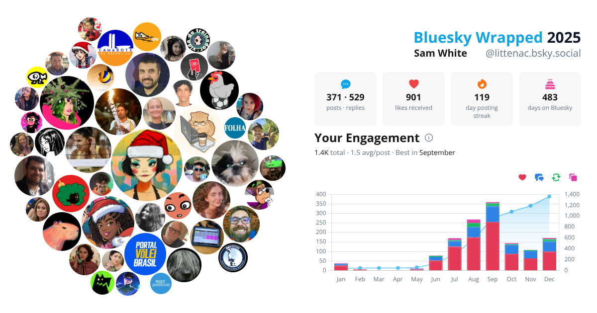 Your Bluesky Wrapped 2025 preview