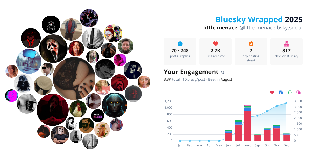 Your Bluesky Wrapped 2025 preview