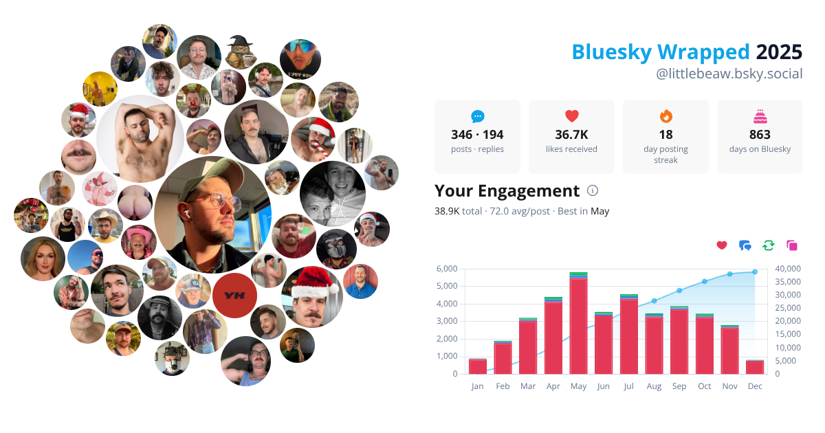 Your Bluesky Wrapped 2025 preview