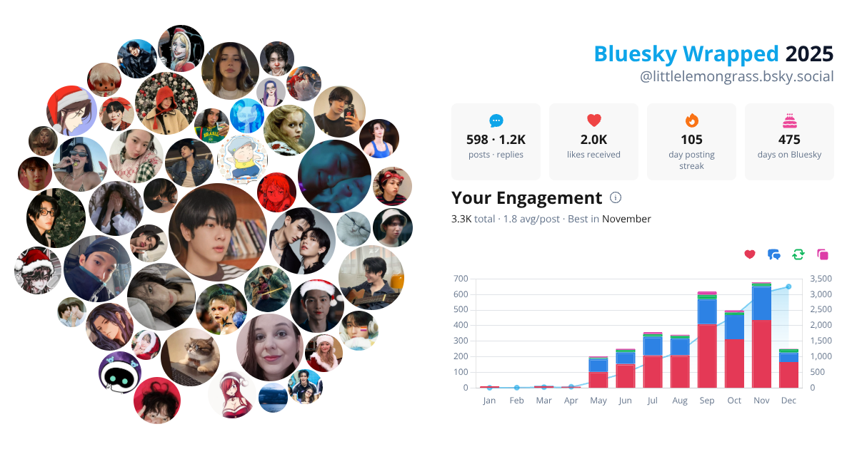 Your Bluesky Wrapped 2025 preview