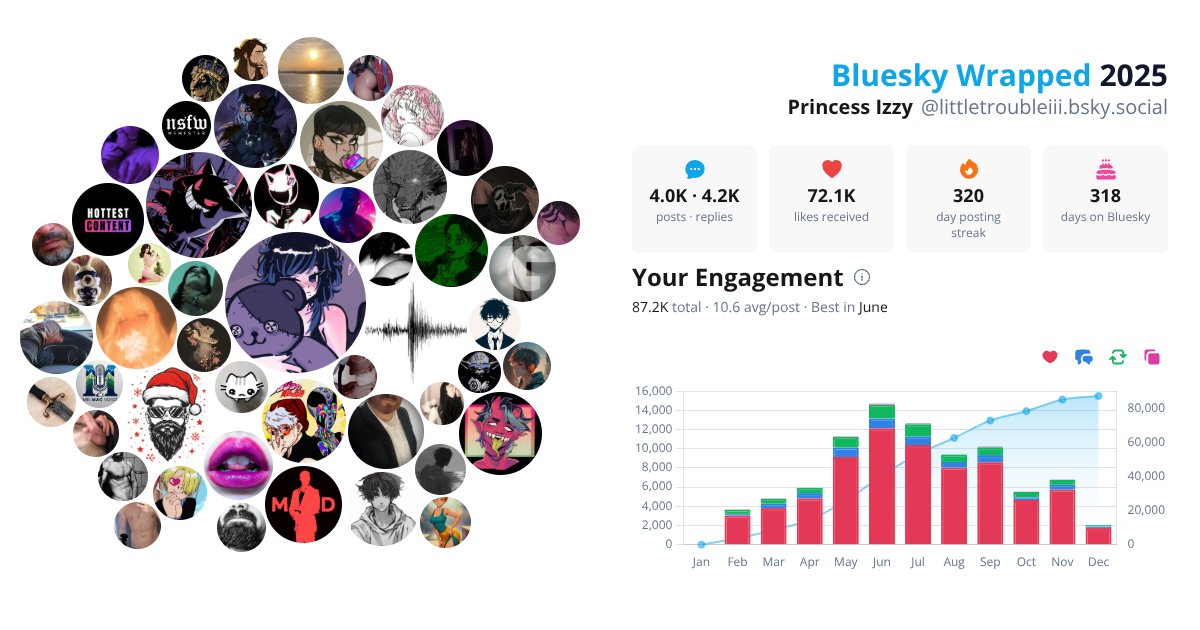 Your Bluesky Wrapped 2025 preview