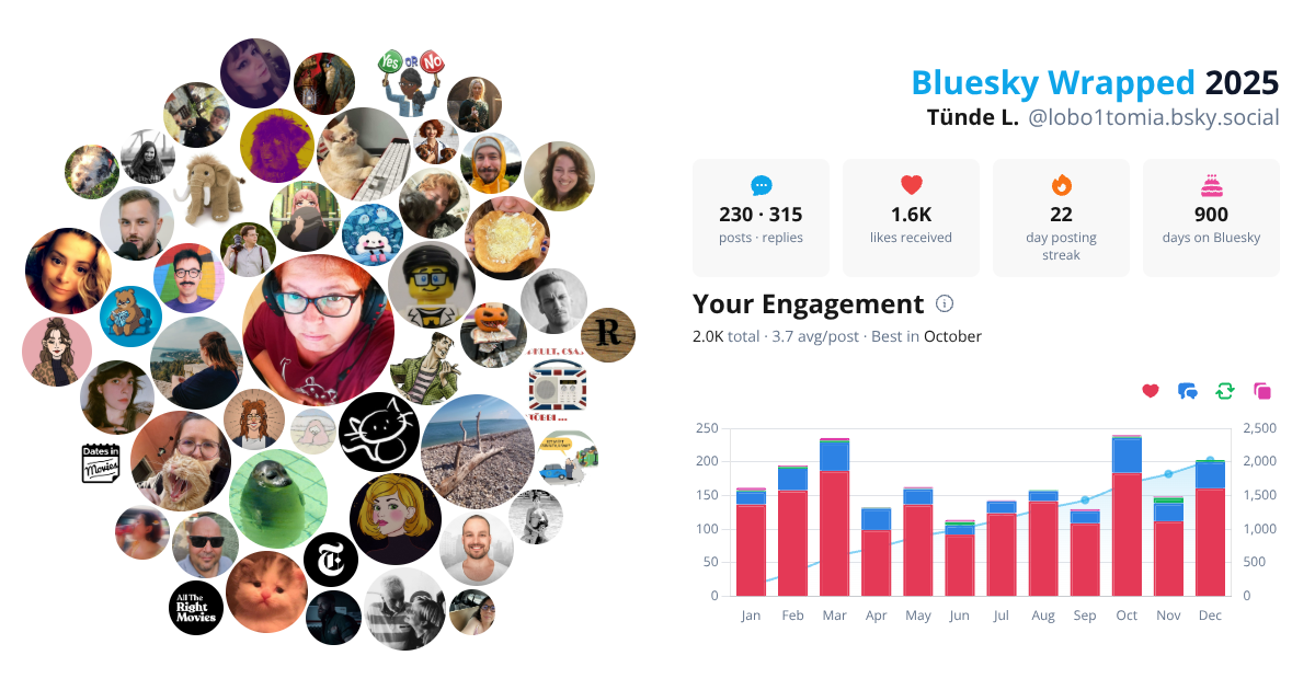 Your Bluesky Wrapped 2025 preview