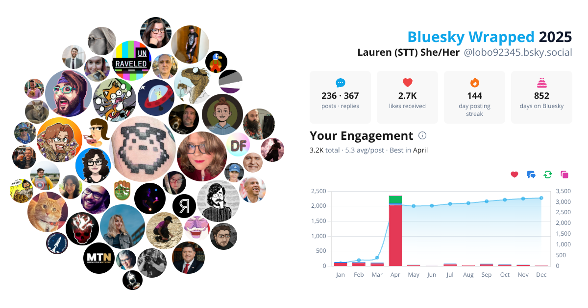 Your Bluesky Wrapped 2025 preview
