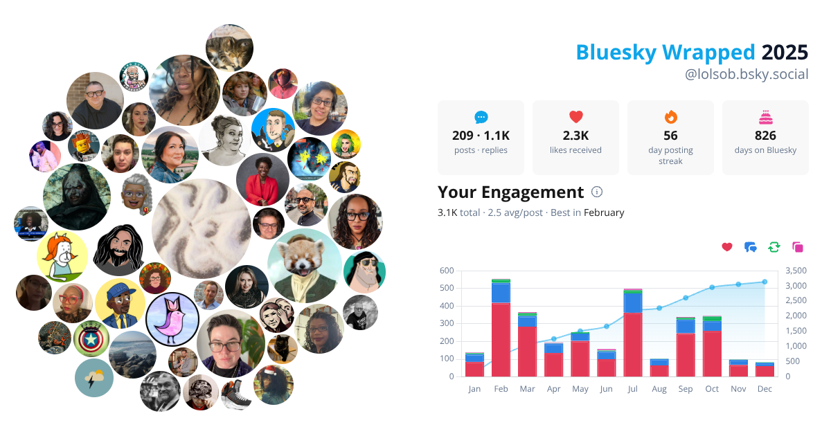 Your Bluesky Wrapped 2025 preview
