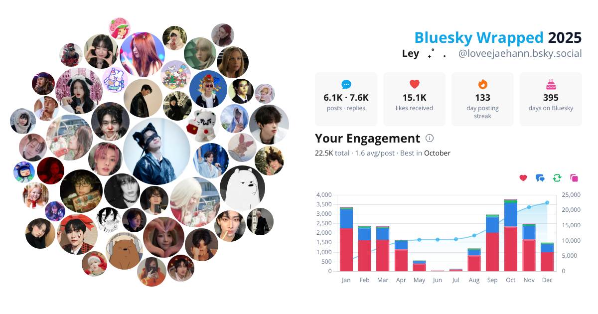 Your Bluesky Wrapped 2025 preview