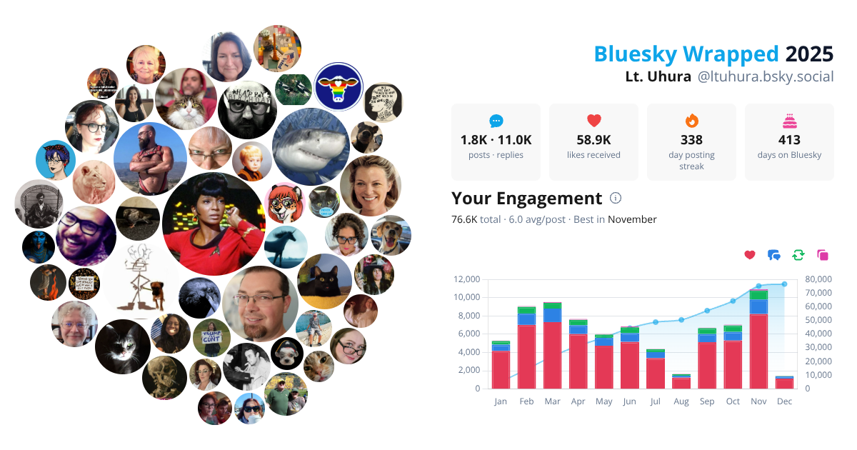 Your Bluesky Wrapped 2025 preview