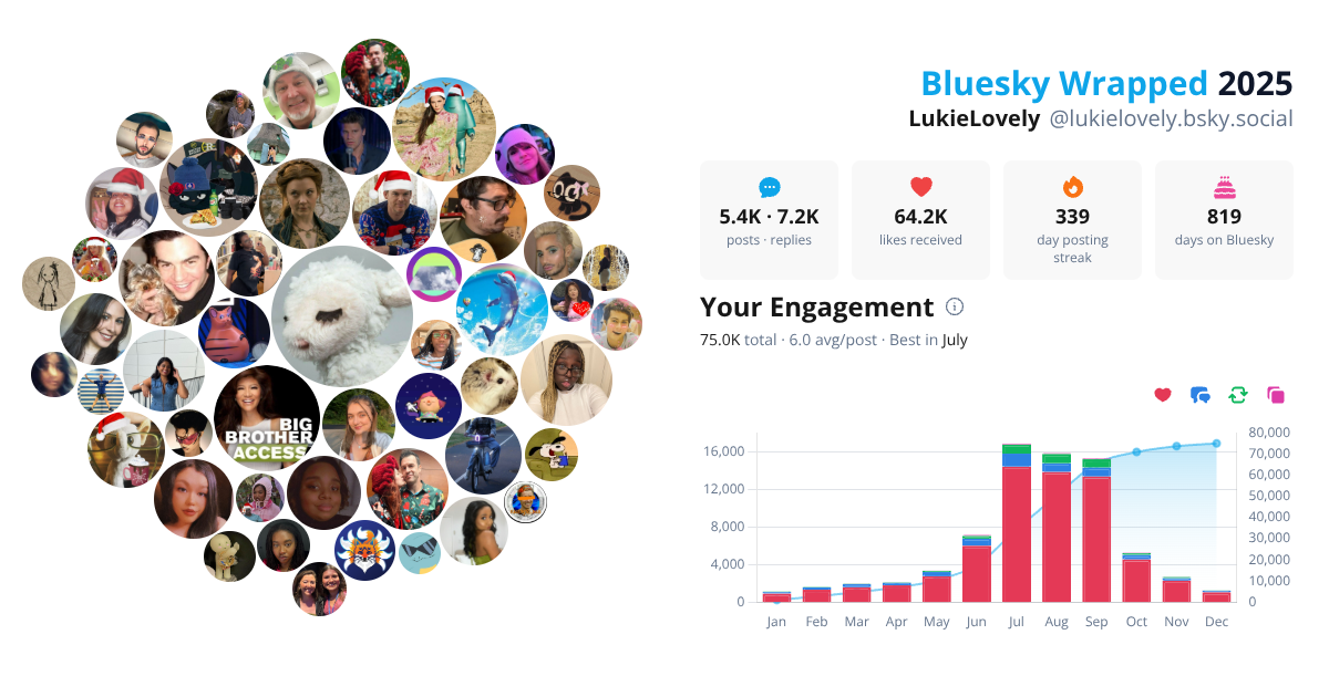 Your Bluesky Wrapped 2025 preview