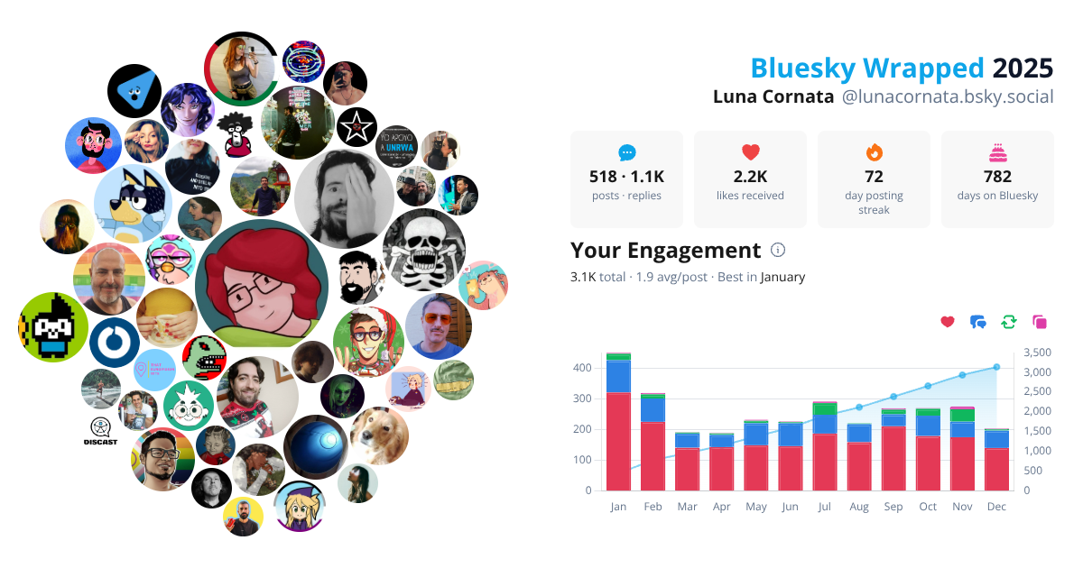 Your Bluesky Wrapped 2025 preview