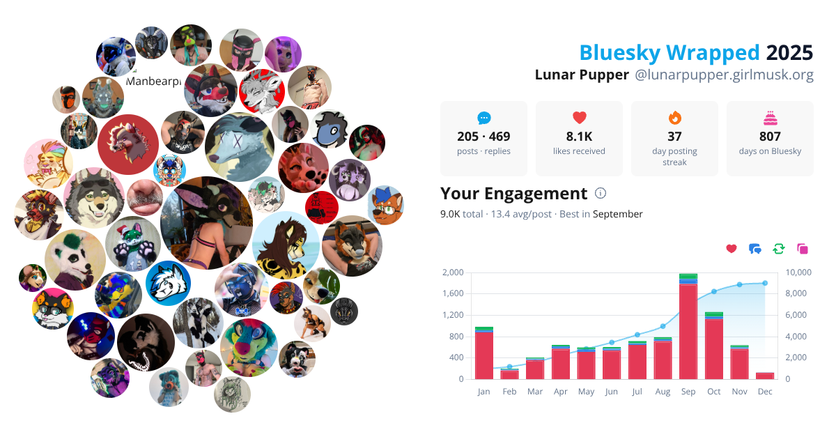 Your Bluesky Wrapped 2025 preview
