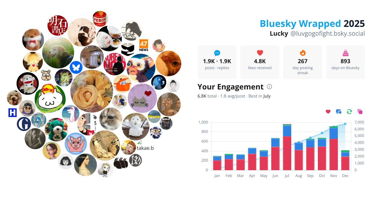 Your Bluesky Wrapped 2025 preview