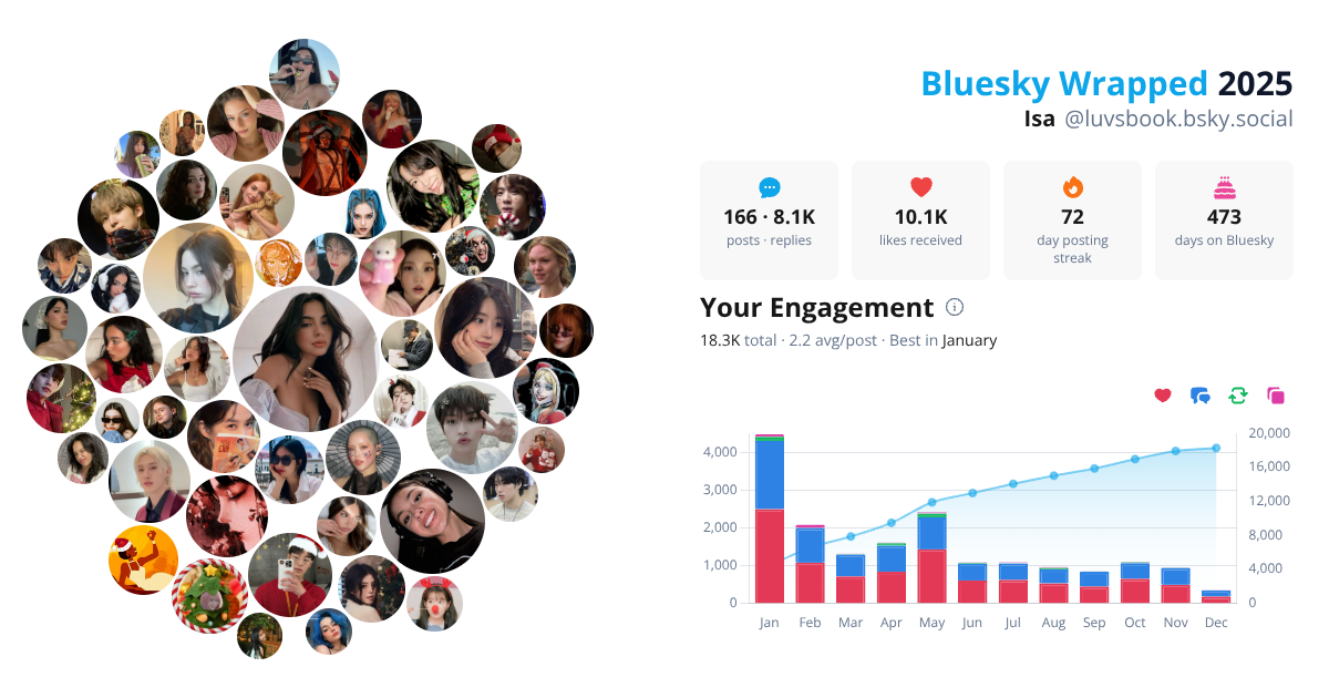 Your Bluesky Wrapped 2025 preview