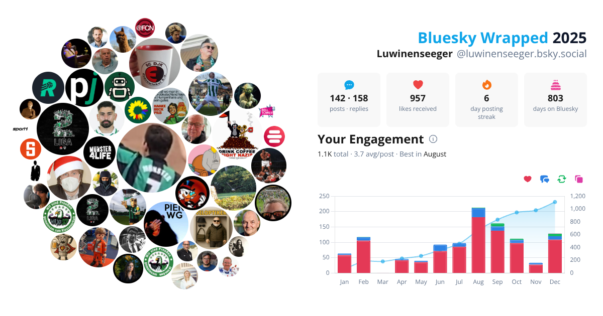 Your Bluesky Wrapped 2025 preview