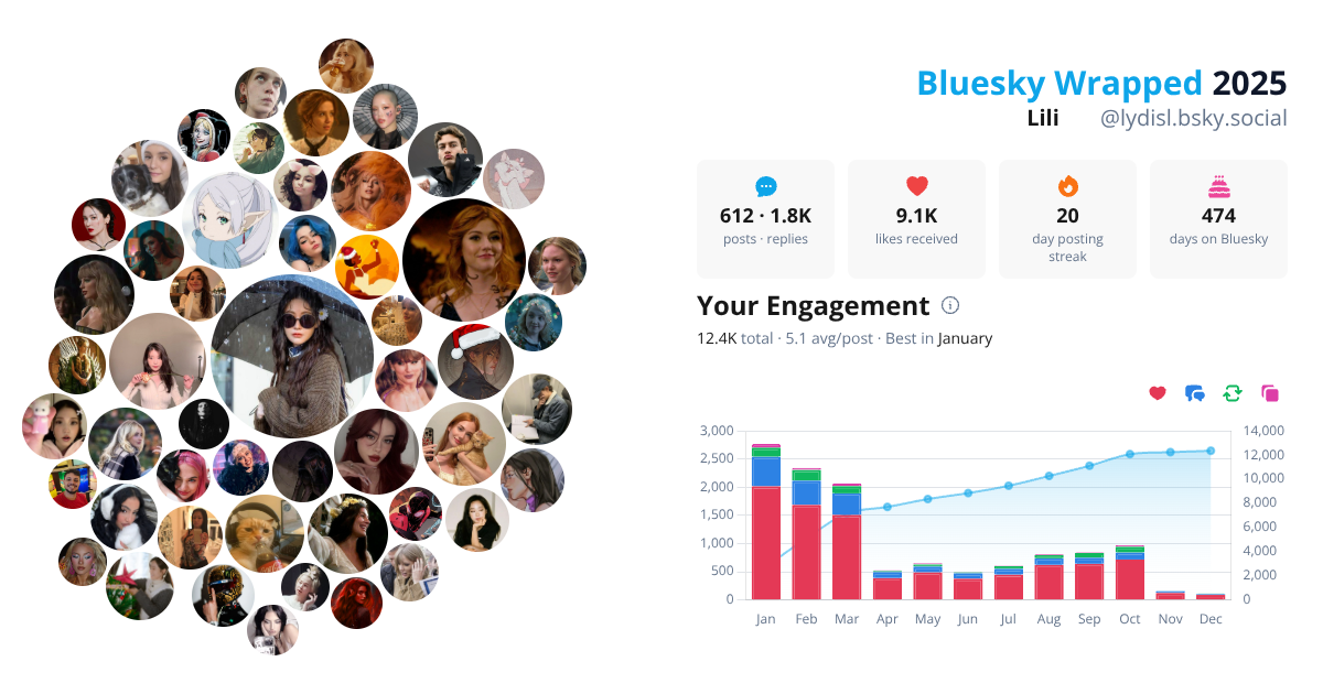 Your Bluesky Wrapped 2025 preview