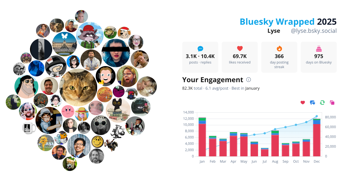 Your Bluesky Wrapped 2025 preview
