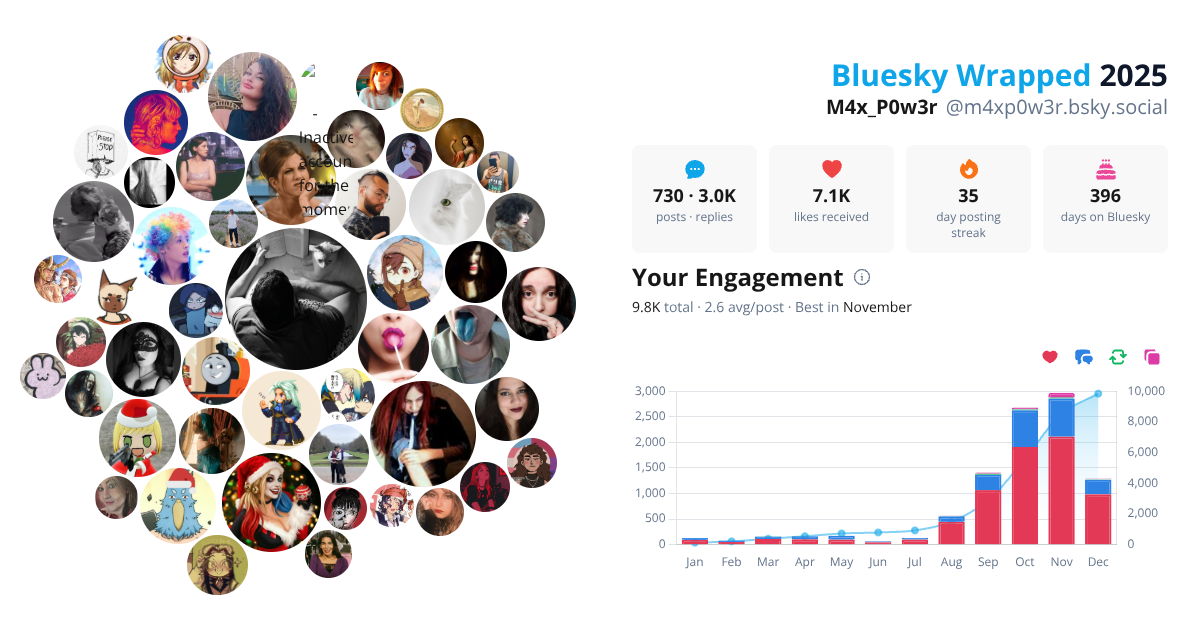 Your Bluesky Wrapped 2025 preview