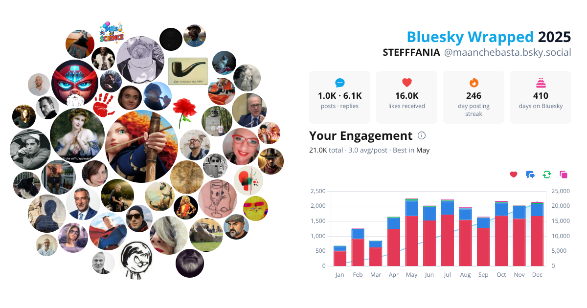 Your Bluesky Wrapped 2025 preview